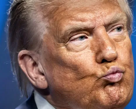 Trump vs Facts Review: Few Channel Would Dare TV So Audacious (while also) Repetitive