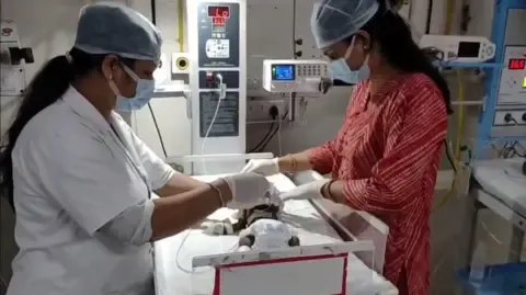 Infant Buried Living in India Battles for Her Life