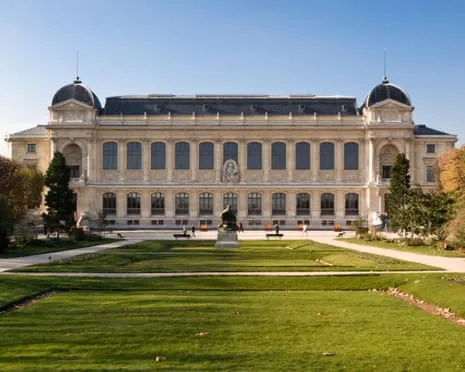 Historic Golden Pieces Stolen in Daring Robbery at French Natural History Institution